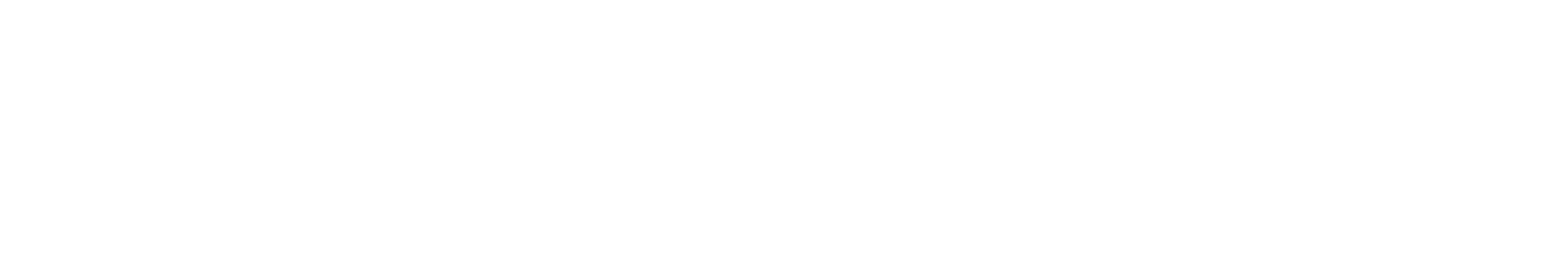 Dr Han Choi logo - White